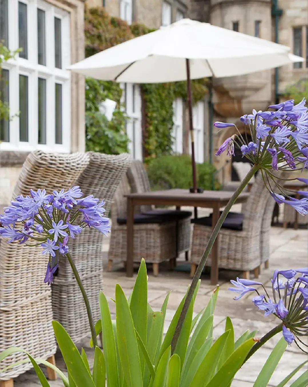 Cornwall Hotel Collection makes the perfect transition from Hotel Perfect to Mew body Image 10 1076 x 1352-50