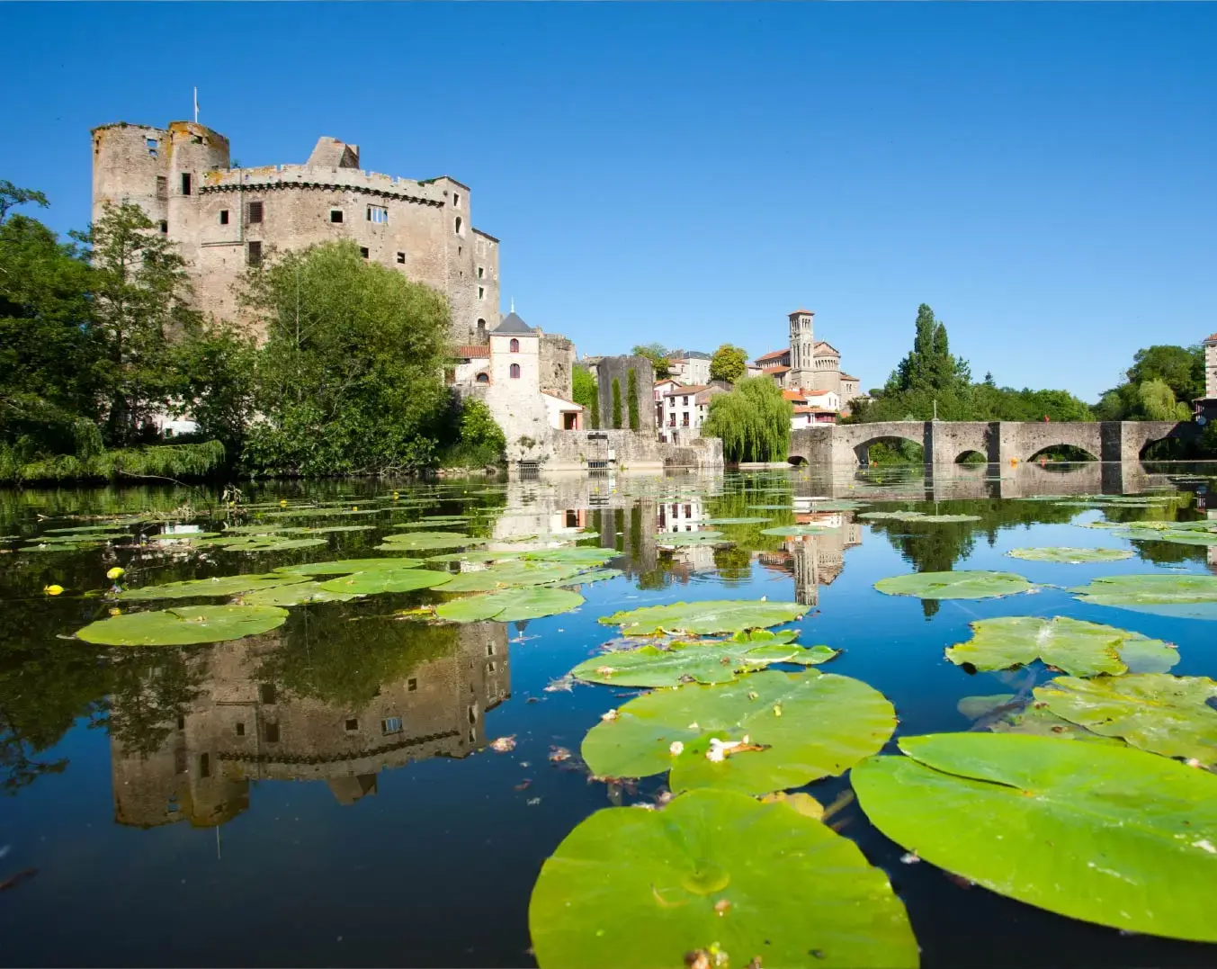 Ternelia completes an outstanding digital overhaul with Mews Website body Image 2 1352 x 1076-50