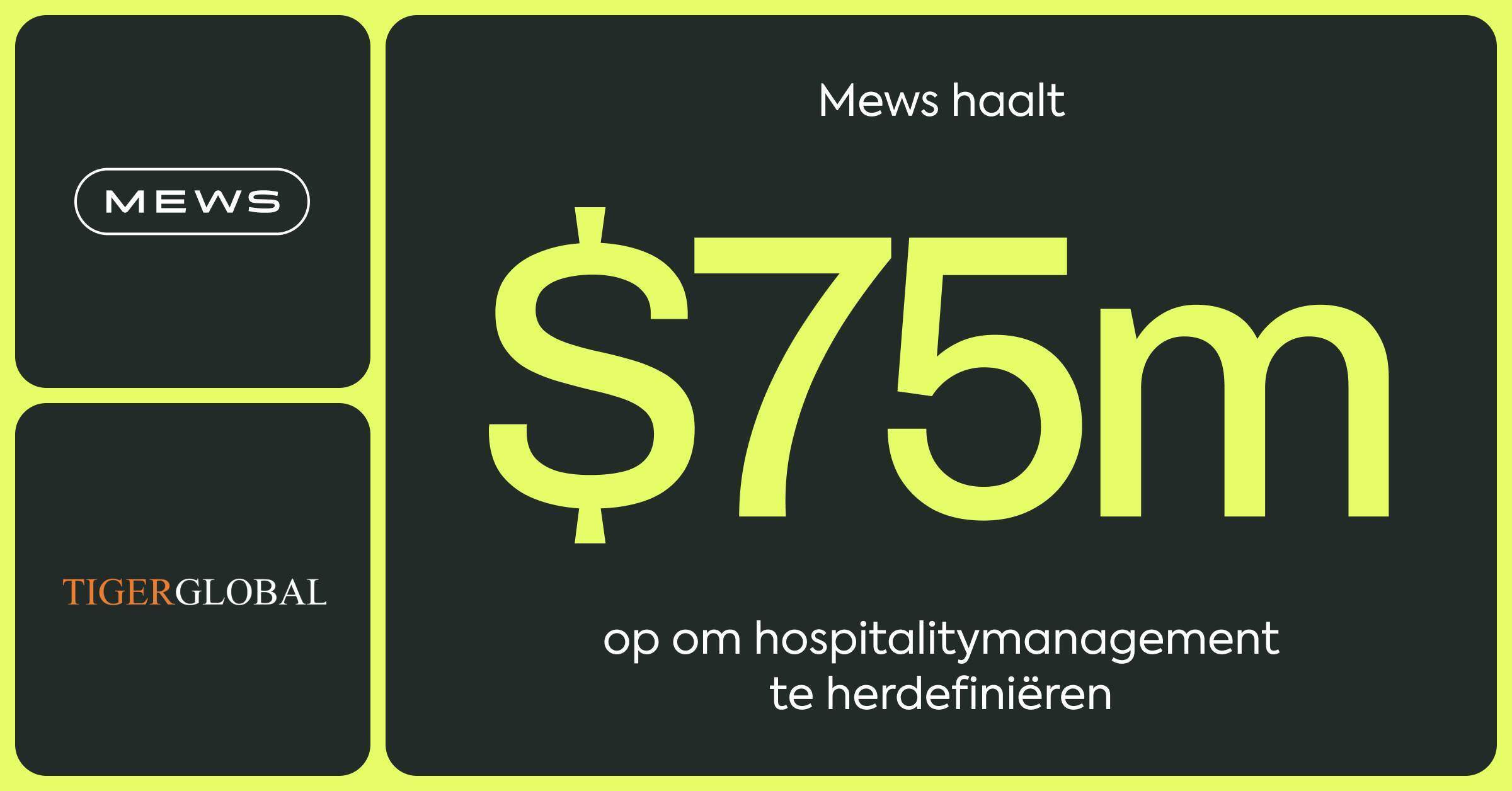 mews-tiger-social_1200x628-x2_NL (1)