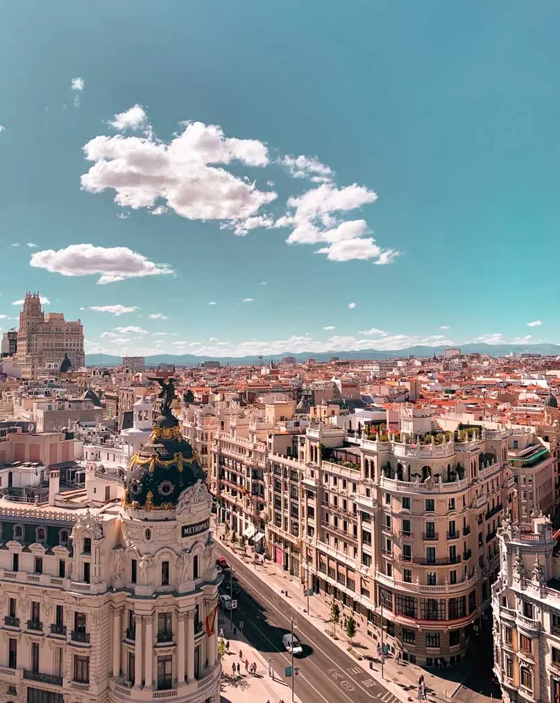 Mola_807x1014 - Body Image 2-1