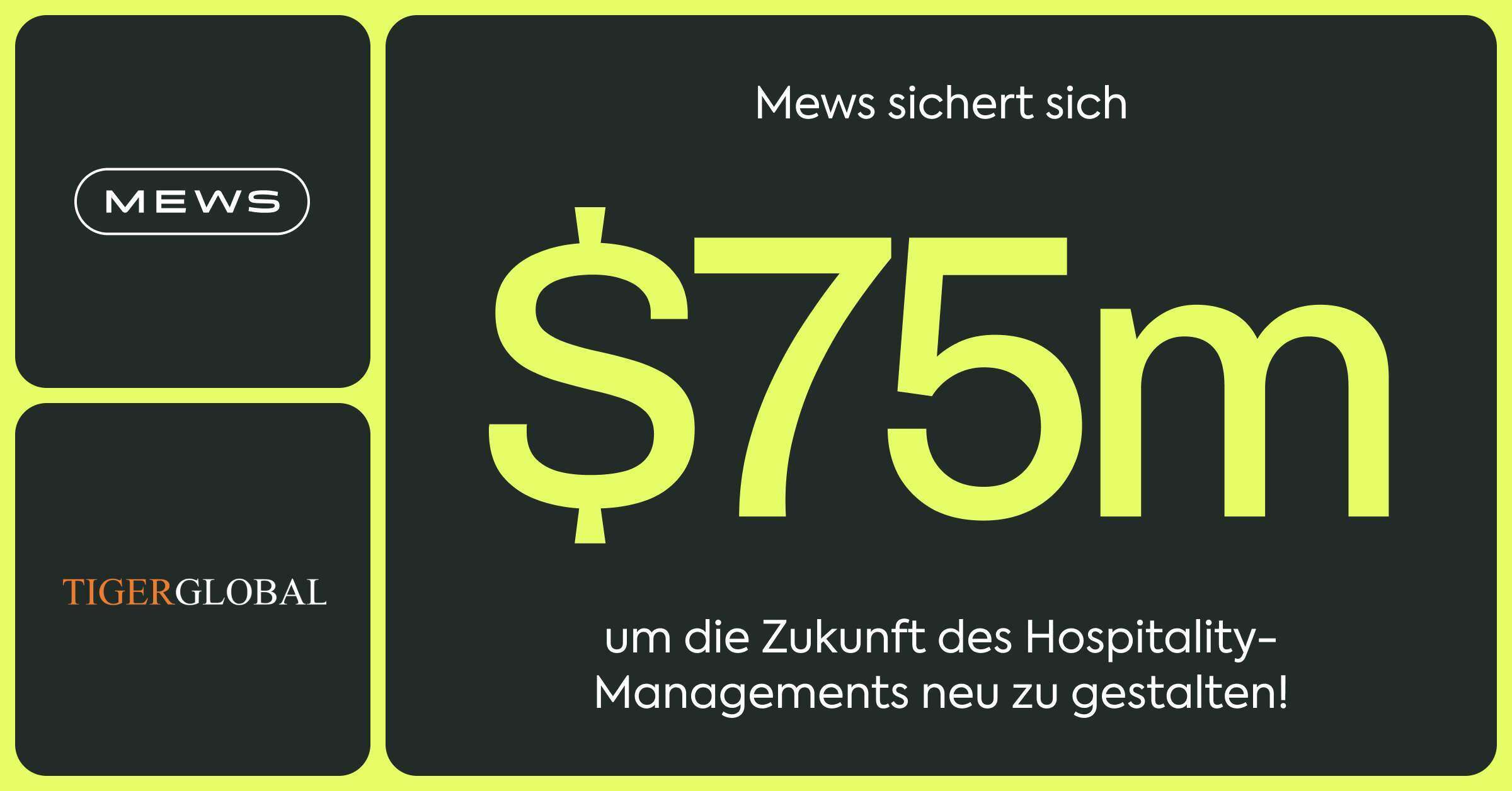 mews-tiger-social_1200x628-x2_DE (1)