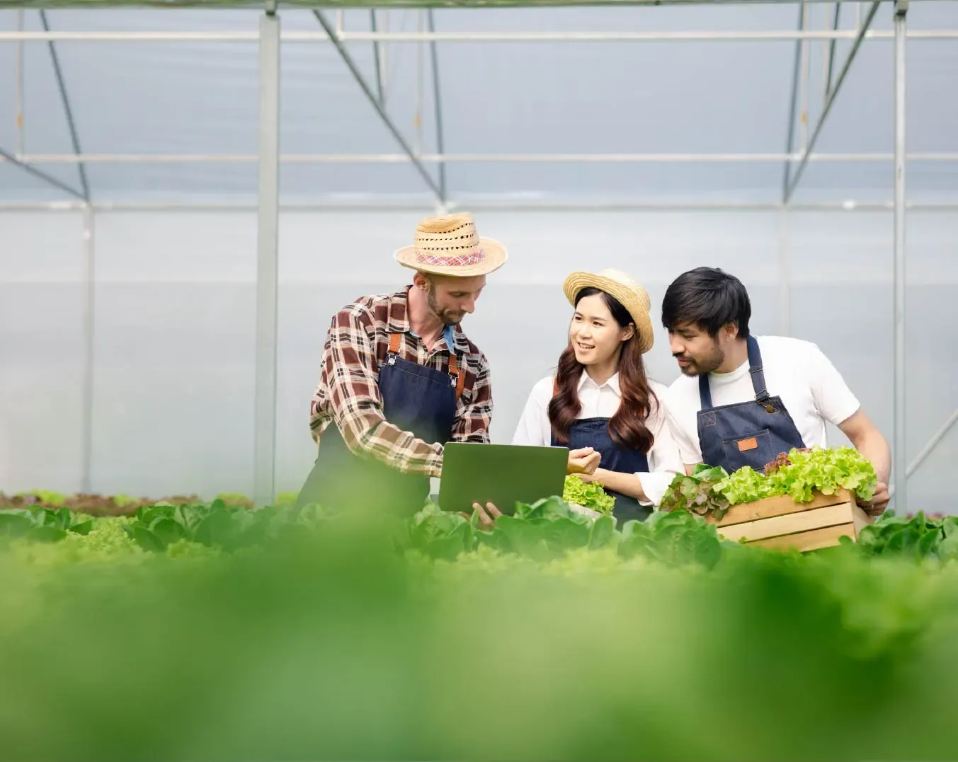 claves de la reinvencion del sector hotelero