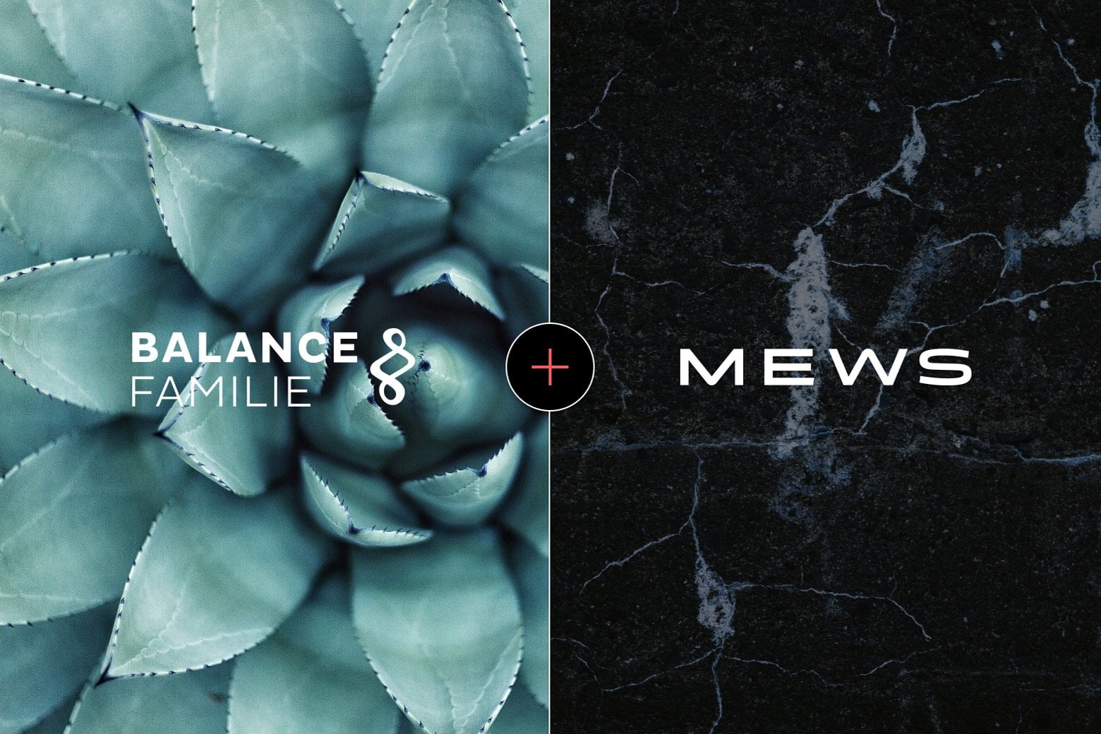 1560_1040_Balance_familie_pressrelease