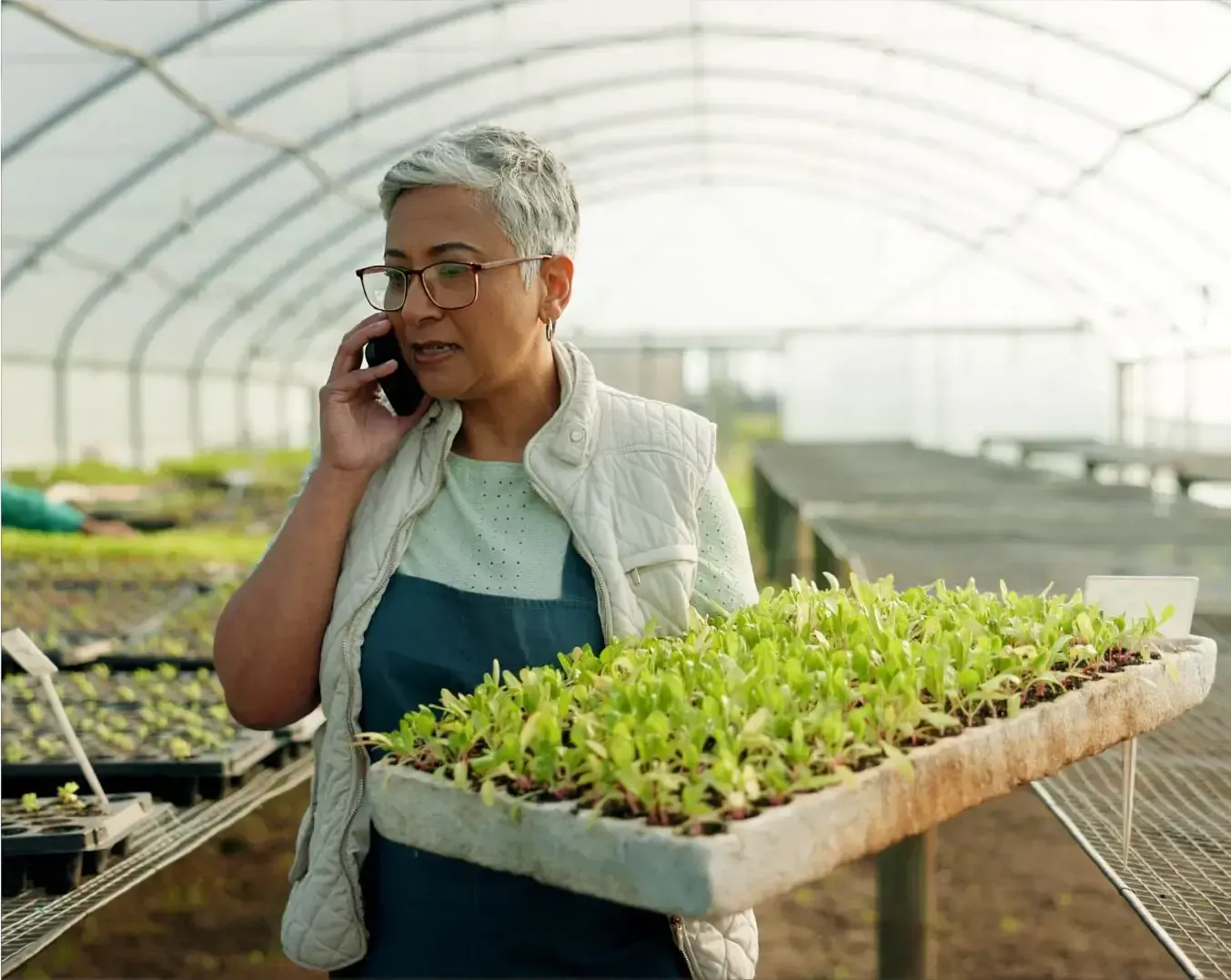 la cadena de suministros de un hotel