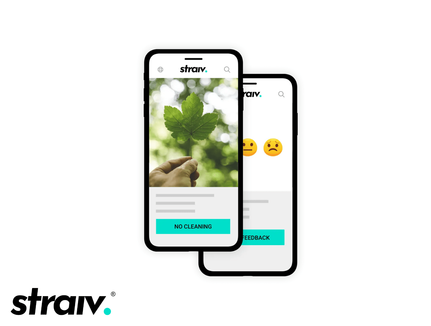 straiv product image 1