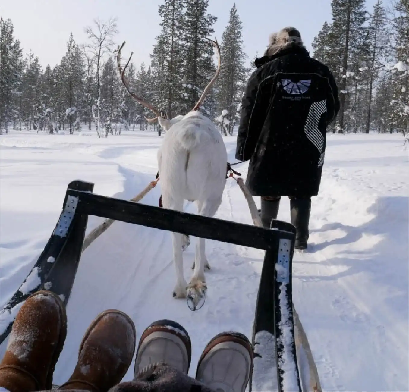 Square image next quotes- 1356x1300 copy 4-50