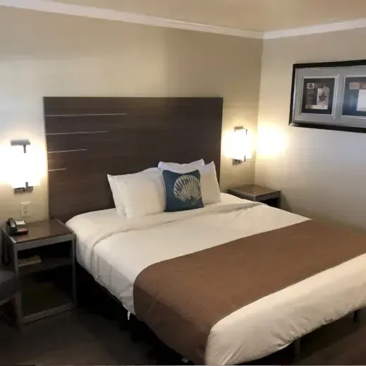 Otter Case Study Body Image 4