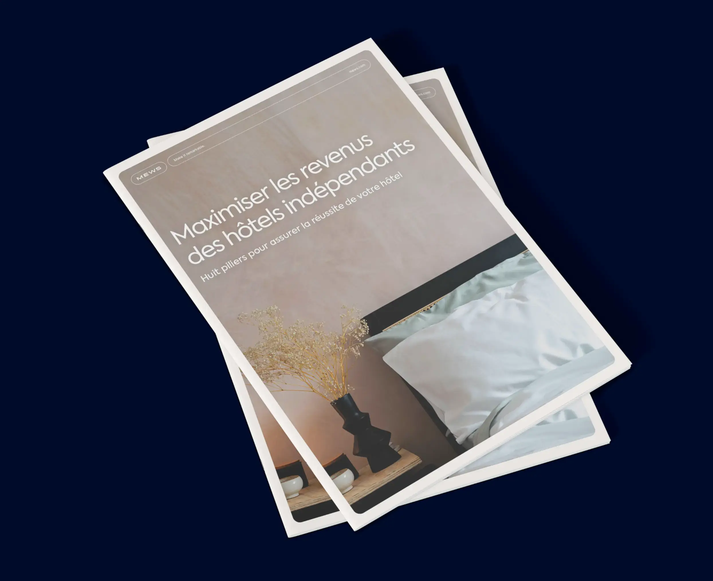 Maximize revenue 01_FR