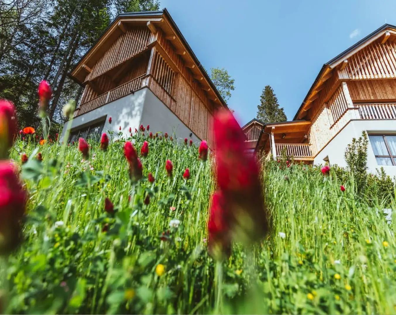 Montestyria Mariazell Website body image 3 1352 x1076-50