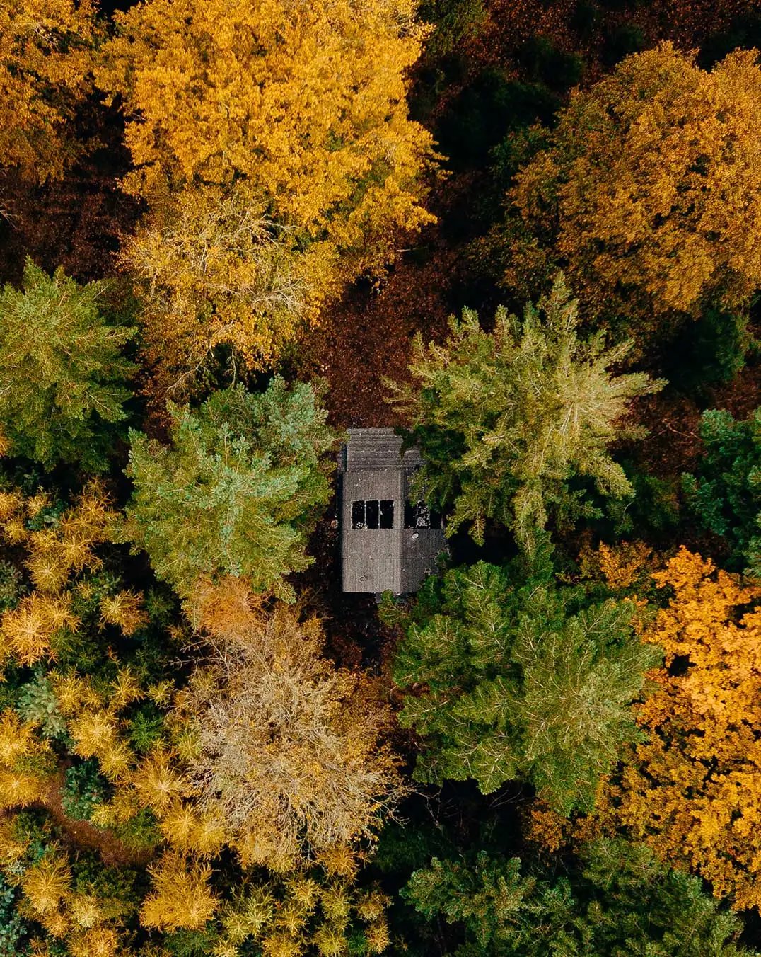 Cabiner - 1076x1352 - Body Image 2 