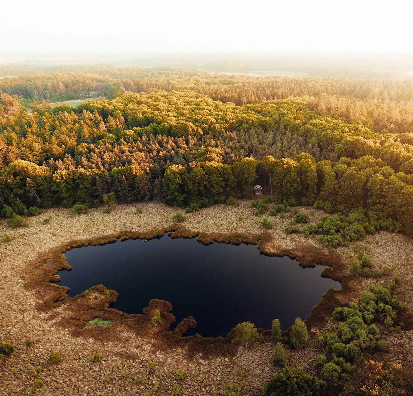 Cabiner - 1076x1352 - Body Quote 1 