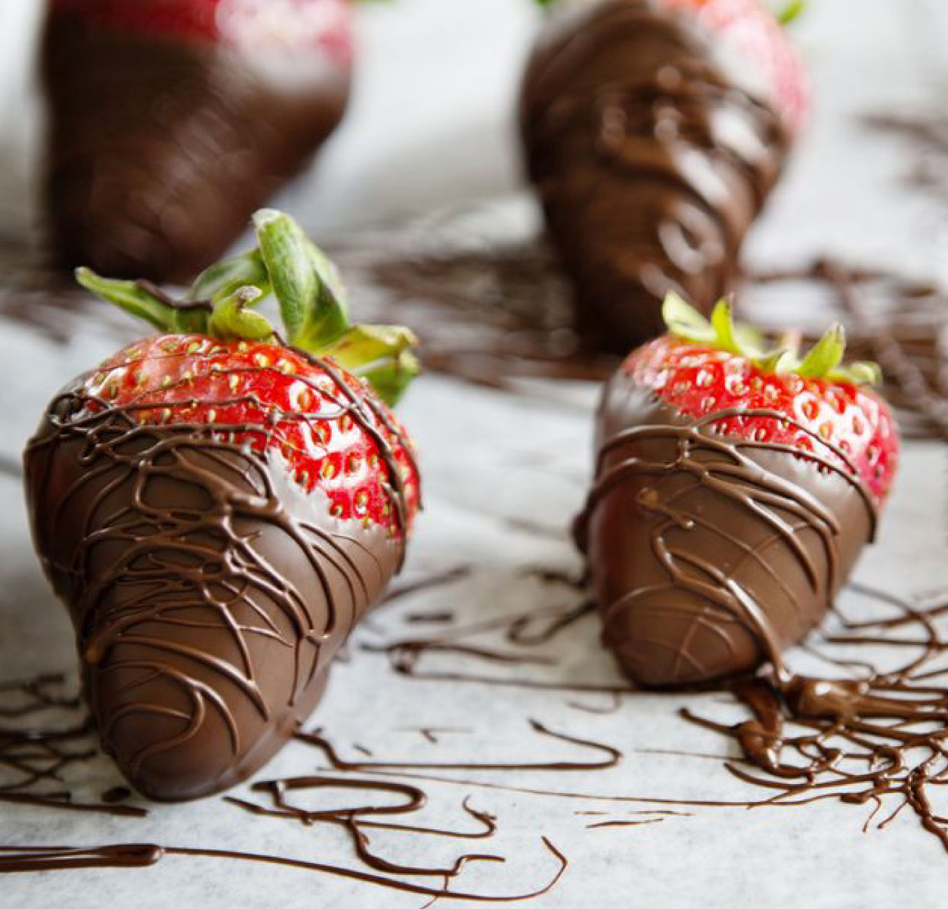 bush-1357-x-1301---Quote-Image-2